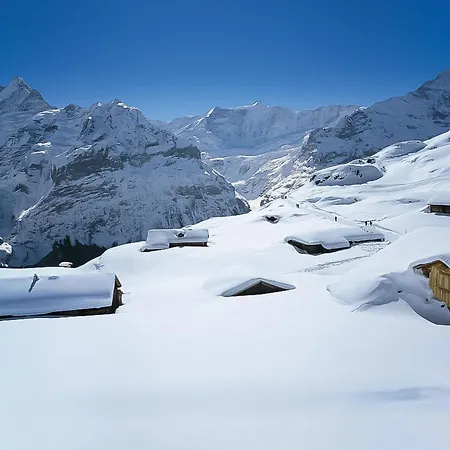 公寓 Eiger By Interhome 格林德瓦