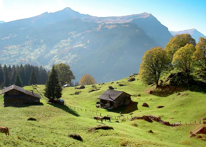 Eiger By Interhome 公寓 *